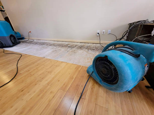 Professional Flood Damage Cleanup technician working in West Lafayette, IN